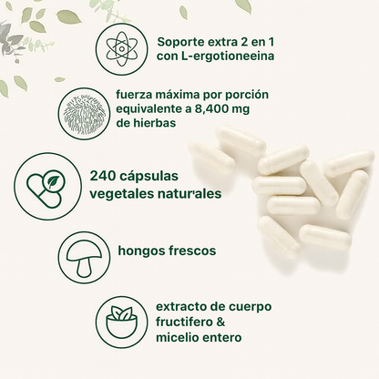MELENA DE LEON 120 CAPSULAS - ENVÍO GRATIS 🎉😍